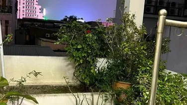 Cho thuê nhà 3 tầng mặt tiền đường Cô Giang , Hải Châu , Gần cầu Rồng
