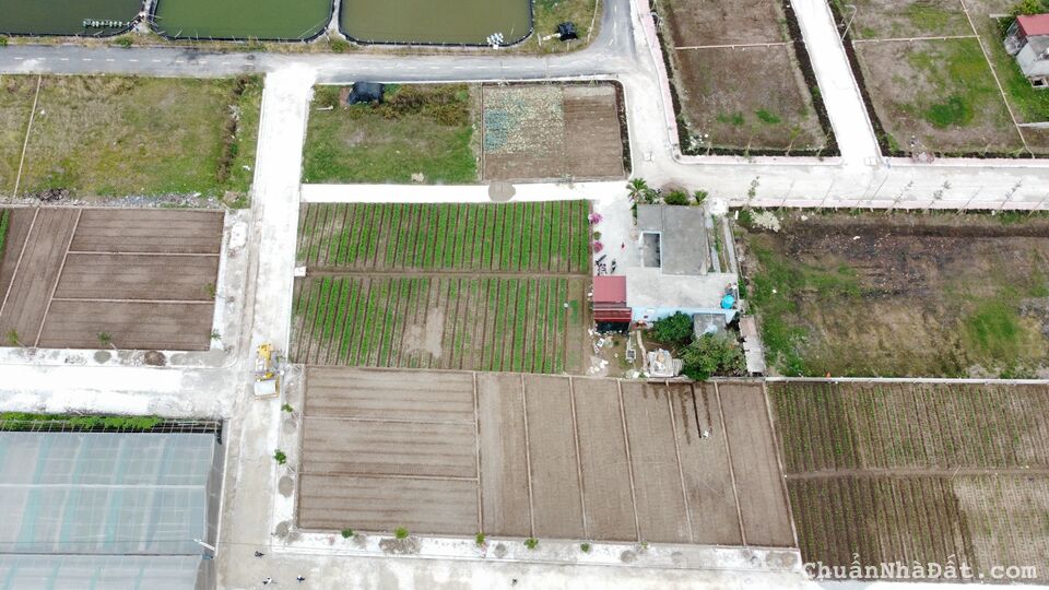 Em cần tiền mở xưởng sản xuất nên bán gấp lô đất mặt biển Quất Lâm, Nam Định