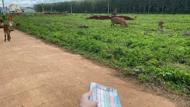 Đất Nền Krong Năng 132m2(6x22) thổ cư