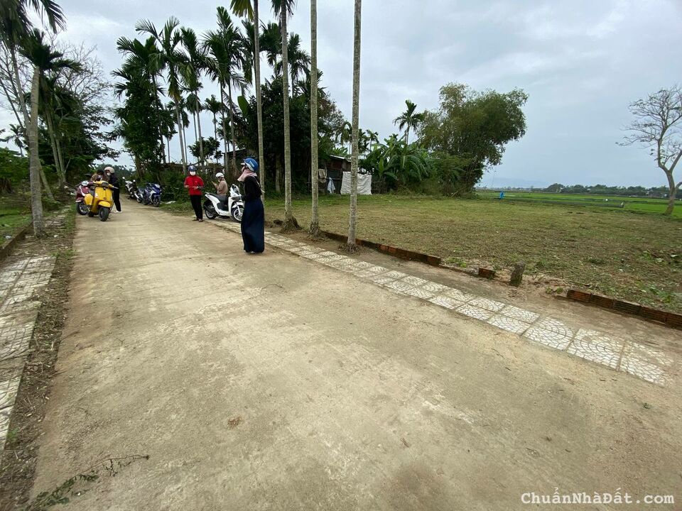 cắt lỗ lô điện hồng, giá 600tr, diện tích lớn