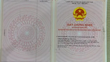 Trả trước 1.3 tỷ - Sở hữu ngay căn hộ chung cư mới cách bên xe Giáp Bát chỉ 10 phút di chuyển