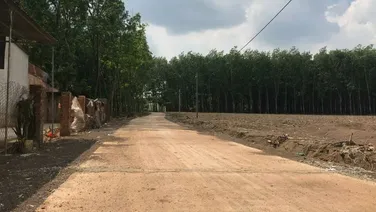 Đất ngay bên TP đồng xoài, sổ sẵn cách trung tâm 3km