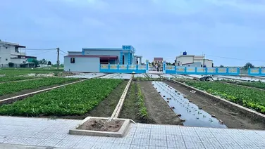 Bán cắt lỗ đất biển đối diện bãi tắm Quất Lâm