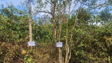 sản phẩm giá rẻ