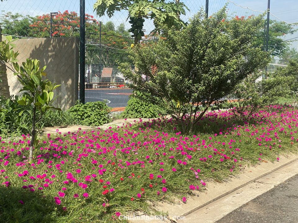 300m2 đất kế The Global City 300m2 chỉ 35tr/m2 Rẻ Vô Địch Liên Phường