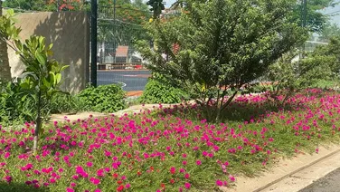 300m2 đất kế The Global City 300m2 chỉ 35tr/m2 Rẻ Vô Địch Liên Phường