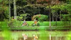 Mở bán chung cư vị trí đẹp nhất Ecopark, bể bơi đẳng cấp nhất miền Bắc, giá ưu đãi, số lượng có hạn
