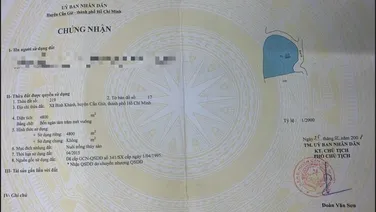 * CHỦ GỬI LÔ ĐẤT GIÁ RẺ TẠI XÃ BÌNH KHÁNH, CẦN GIỜ *