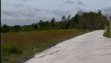 * Chủ Gửi Lô Đất Trồng Cây Tại Xã Long Hoà Giá Rẻ *