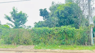 SỐC QUÁ! Đất thổ ở Tỉnh Lộ 10, Phạm Văn Hai, 110m2 chỉ 2 ,25 tỷ .