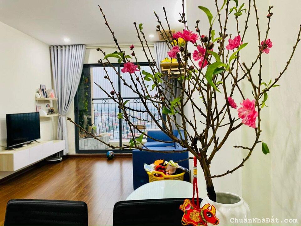 Cho thuê căn hộ Homeland Thượng Thanh tầng trung, 70m2 2PN Full đồ đẹp giá 10tr.