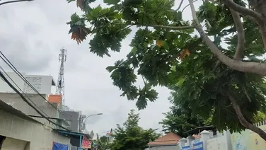 Bán Nhà 2 Tầng 65m2 Quang Trung, Ngang 4.5m – Tăng Nhơn Phú B – Quận 9 – Giá 4.15 tỷ TL