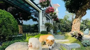 Quỹ căn cho thuê Vinhomes Riverside và Vinhome The Harmony giá tốt
