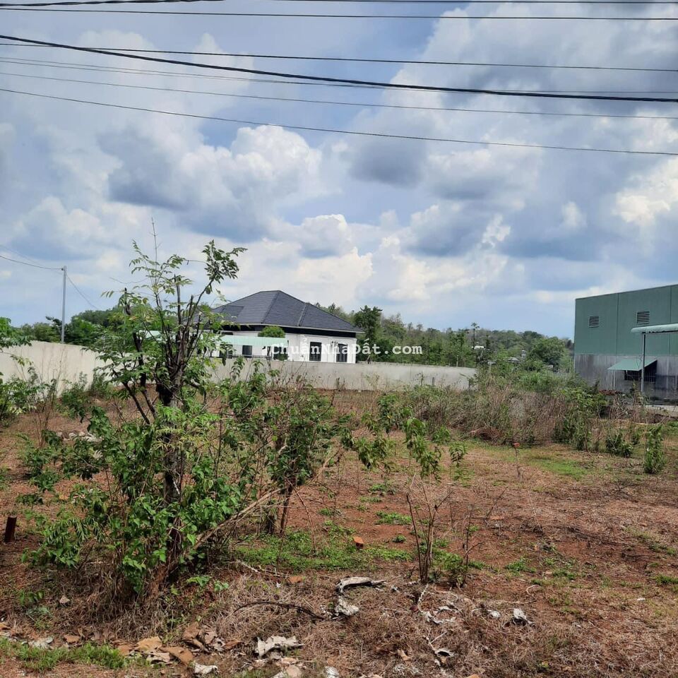 Cần bán lô nhanh góc 2 Mặt tiền hơn 1000m2,Chính Chủ,Giá 380tr bao sổ ,Bình Phước