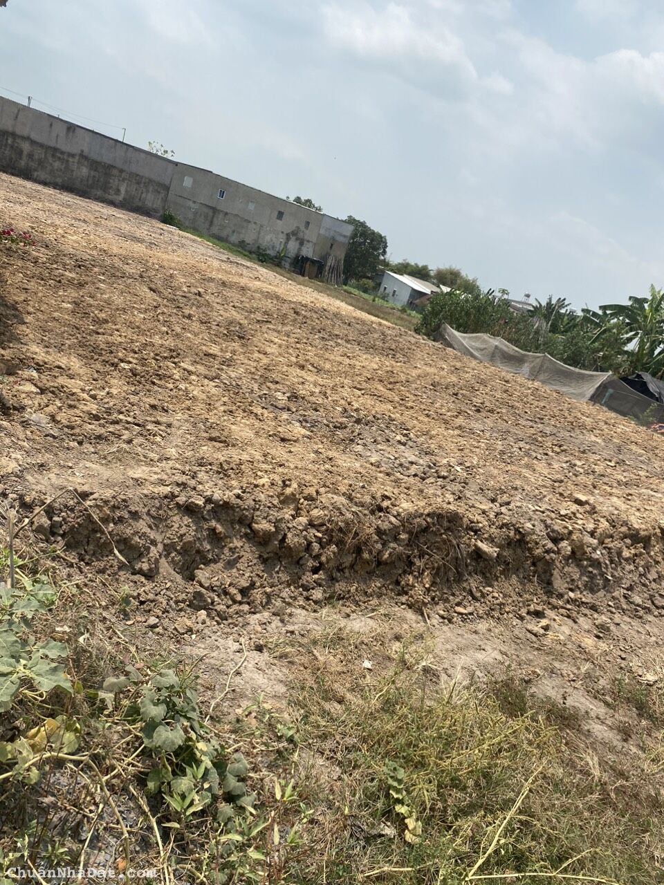 Đất shr full thổ cư 5x30 m2 kdc ngay thị trấn đức hòa long an