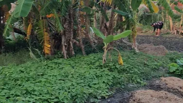 BÁN LÔ ĐẤT 100M2, XE 7 CHỖ, ĐƯỜNG THÔNG CÁC NGẢ, GIÁ RẺ GẦN THỊ TRẤN THỨA, LƯƠNG TÀI, BẮC NINH