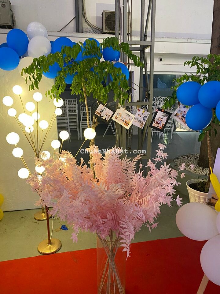 Bán nhà mặt tiền số 476 Dương Quảng Hàm Quận Gò Vấp DT: 50x100m, DTCN: 5523m, giá: 300 tỷ TL