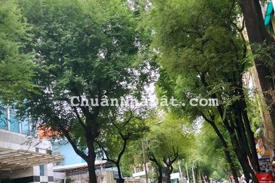 Cho thuê nhà số 100 Nguyễn Du Quận 1, DT: 11x30m, hầm + 3 lầu, giá: 500tr/ tháng