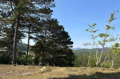 Đất Biệt Thự View Rừng Thông Cực Đẹp Mặt Tiền Đường Khe Sanh,  P10, Đà Lạt– Ngọc Anh  