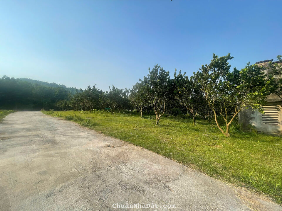 Lô đất đầu tư quá rẻ chỉ 350tr có ngay 320m tại Đoàn Kết, Yên Thuỷ, Hoà Bình