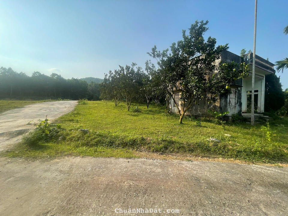 Đầu tư quá rẻ so với mặt bằng, 375tr có 290m tại Đoàn Kết, Yên Thuỷ, Hoà Bình