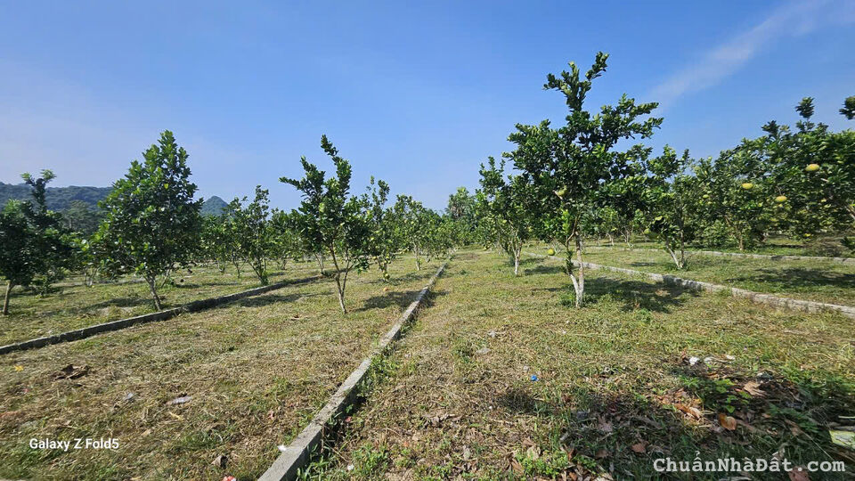 Duy nhất 01 lô đất tại Xóm Bãi Đa, Bảo Hiệu, Yên Thuỷ, Hoà Bình giá chỉ 230tr có 150m².