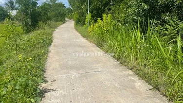 Bán đất mặt tiền đường bê tông 273m2 Đông Thành-Đức Huệ-Long An