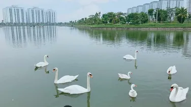 BÁN LÔ LIỀN KỀ A1.2 CỰC ĐẸP KĐT THANH HÀ- giá đầu tư