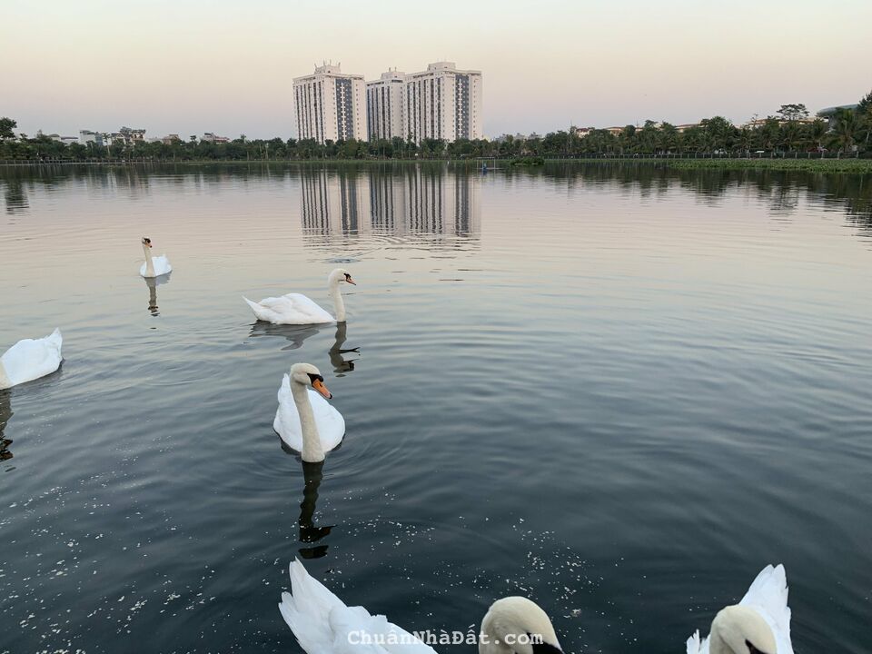 Cần bán đất Liền Kề B1.4 sau chung cư Kđt Thanh Hà Cienco 5 giá đầu tư