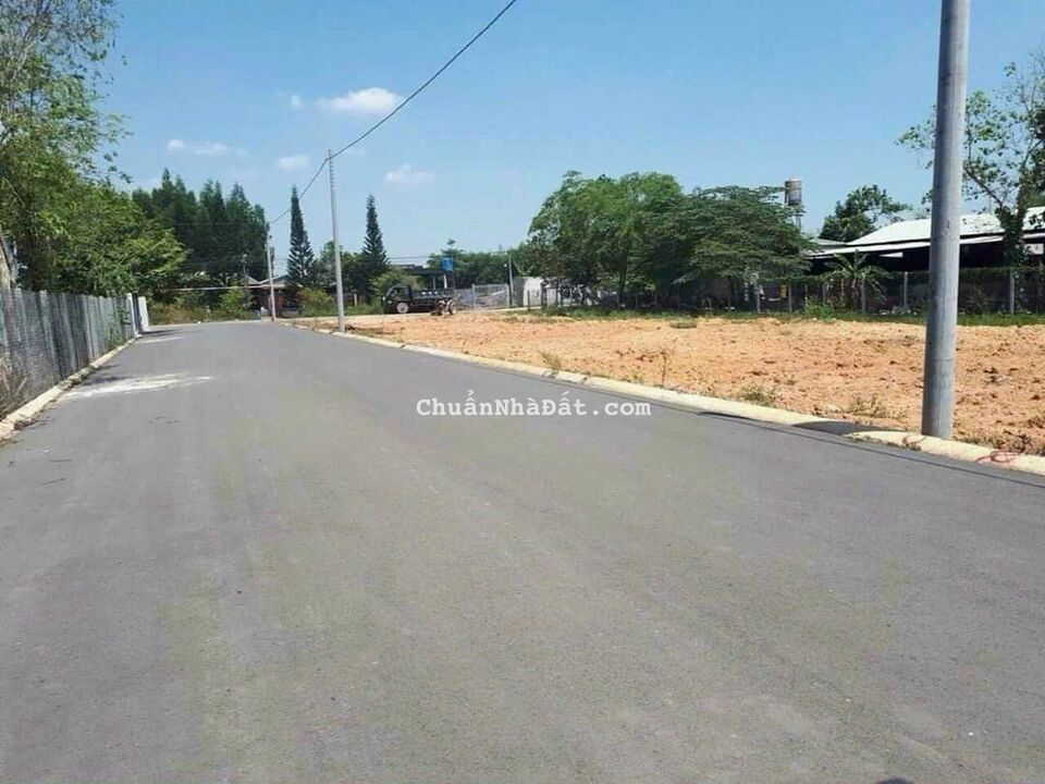 Đất 1000m² có phủ hồng