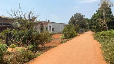 Cưsue sau Tân Linh 2 lô liền kề sổ sẵn công chứng ngay.