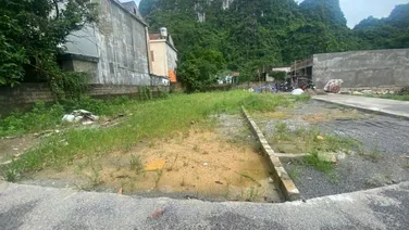 Cần bán ô đất 500m2 thổ cư tại Khu 3, Quang Hanh - Cẩm Phả - Quảng Ninh