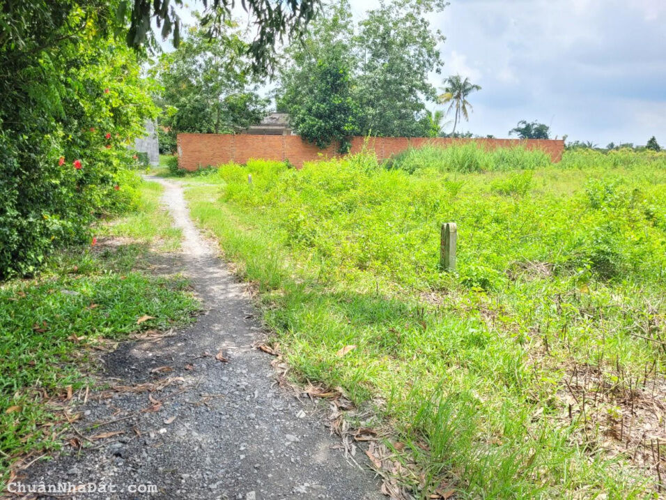 Bán đất Gò Dầu Tây Ninh 140m2 (5x30) chính chủ chỉ 600 triệu.