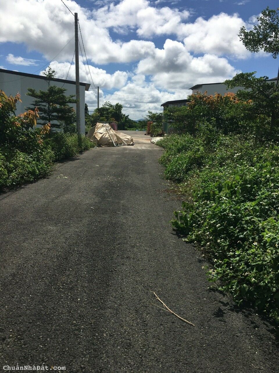 Cần Bán lô đất hẻm 169 Nguyễn Đình Chiểu  Phường Lộc Phát, TP Bảo Lộc 