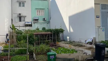 THANH LÝ 2 LÔ LIỀN KỀ AEONMALL BÌNH TÂN 56M2 MẶT TIỀN 7-12M SỔ HỒNG RÊNG