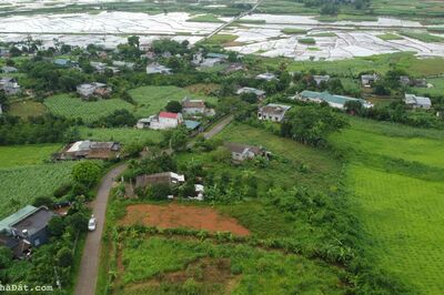 Bán đất Cao Phong, Hòa Bình hơn 1000m² full thổ cư, mặt đường nhựa, ô tô tránh nhau.