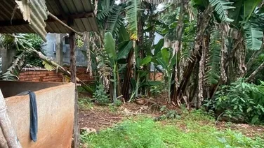 Bán đất tại thị xã Phước Long, sẵn SHR 400m2 (có 100m2 thổ cư) chỉ 1.85 tỷ. Lh:0902912542