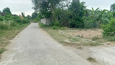 Đất đẹp nghi phong nghi lộc nghệ an