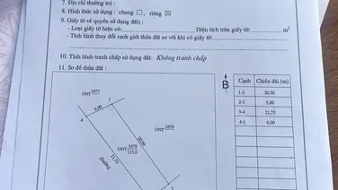 Đất rẻ nghi xuân