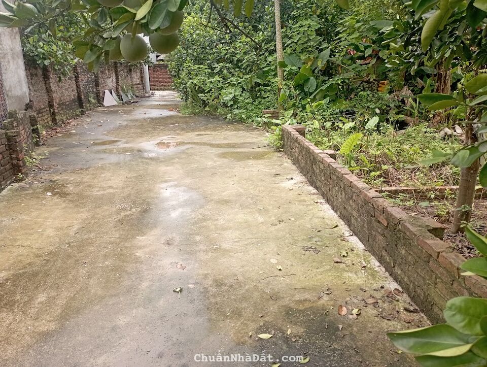 Bán Đất 50m2 Xuân Canh- Đông Anh- Hà Nội. Cạnh Vinhome Và Cầu Tứ Liên. Lh:0383282685