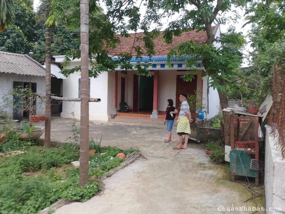 Cho Thuê Nhà Vườn Chương Mỹ Diện tích hơn 500m