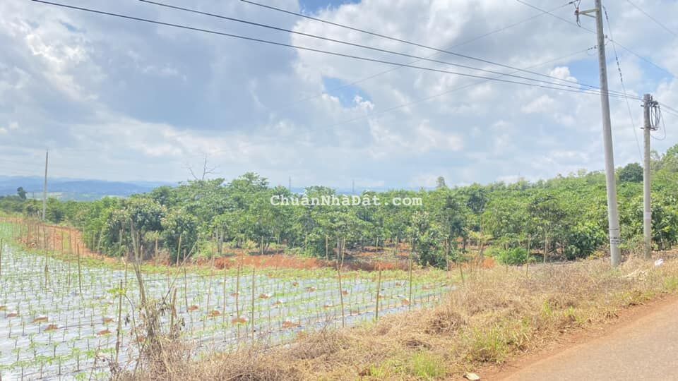 Bán lô đất víp 8 sào mặt tiền nhựa 8m, hiệp hòa ninh gia đức trọng