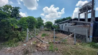 Bán đất đường Lê Thị Đảo, Tân Thạnh Đông, DT 192m2, đất ở hiện hữu, chỉ 350tr