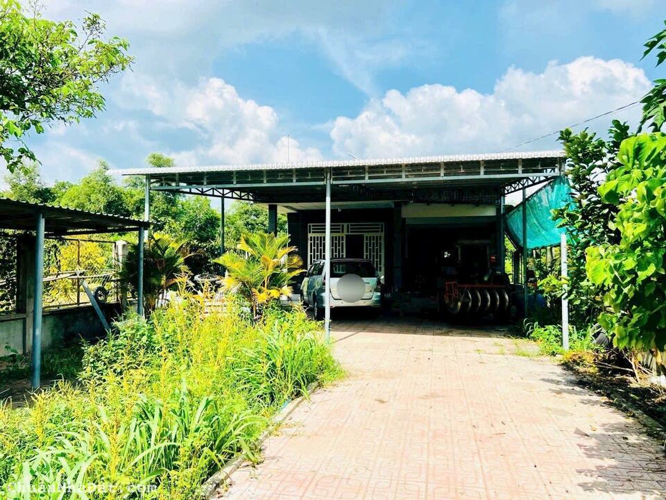 SIÊU PHẨM ĐẤT TRÒNG CÂY LÂU NĂM BÌNH PHƯỚC