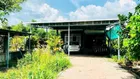 SIÊU PHẨM ĐẤT TRÒNG CÂY LÂU NĂM BÌNH PHƯỚC