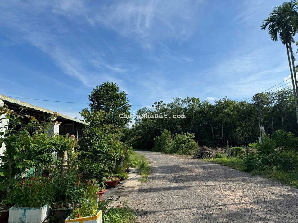 SIÊU PHẨM ĐẤT ĐÔ THỊ THỊ TRẤN DẦU TIẾNG