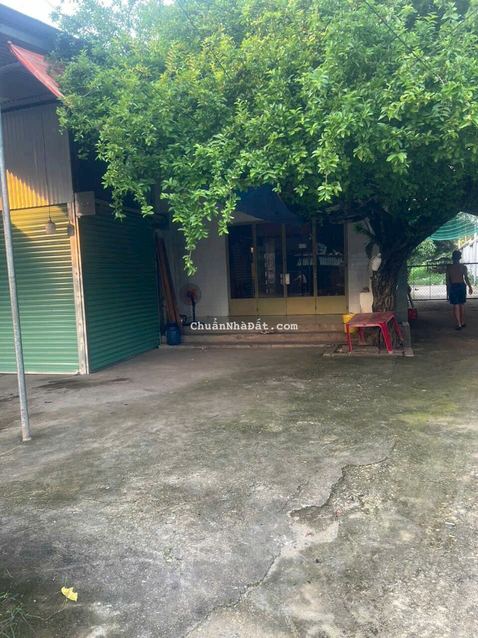 Bán 1556 m2 Nhà Đất 2 Mặt Tiền Đường Trục Chính Xã Đồi 61 _ Trảng Bom _ ĐN 