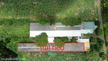 Trại Heo 2156 m2 Giá Siêu Rẻ _ Trung Hòa _ Trảng Bom _ ĐN