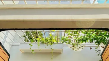 Bán siêu phẩm nhà Nguyễn Thiện Thuật P1 Q3 chỉ 2.9 tỷ, gần trường ĐH KH-TN, 3 tầng 37m2, hẻm oto