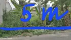 BÁN ĐẤT SỔ RIÊNG THỔ CƯ 100% GẦN KHU DU LỊCH GIANG ĐIỀN An Viễn Trảng Bom DT 5x23